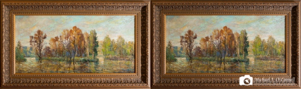 Oil Painting Comparison